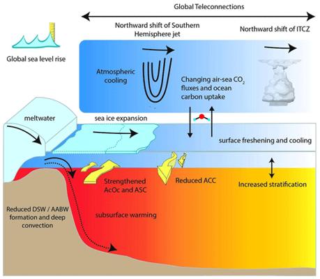 David Shrive, photo 1