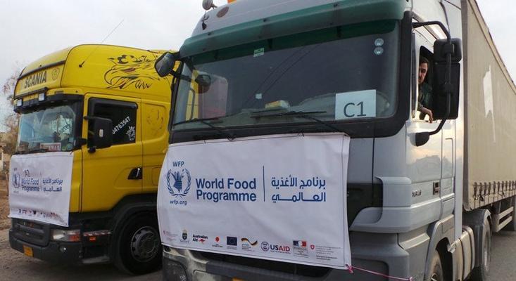 Sally Haydock, photo 1