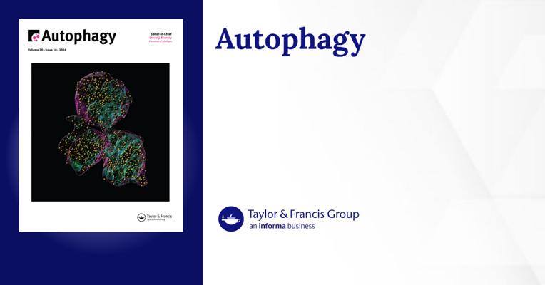 Pascal Duez, photo 2