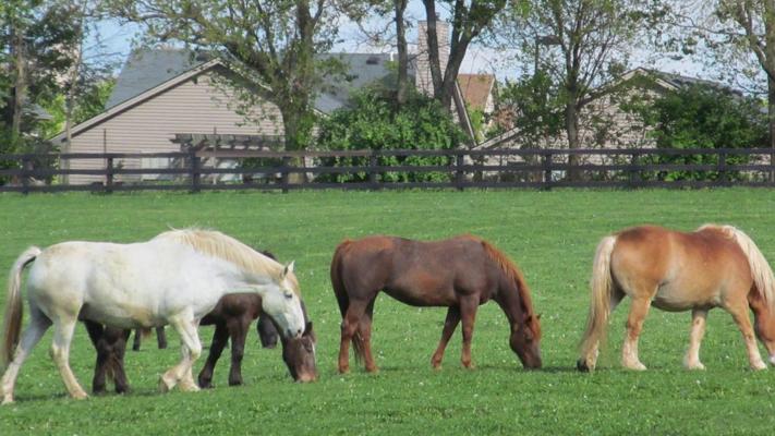 Ashleigh Dane, photo 2