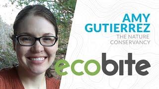 Amy Gutierrez, photo 2