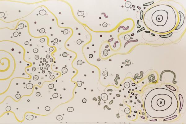 Darius Strasel, photo 2