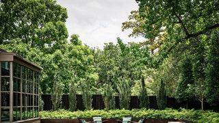 Mark Moussa, photo 2