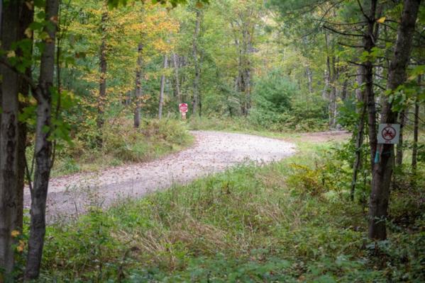 Thomas Kiggen, photo 2