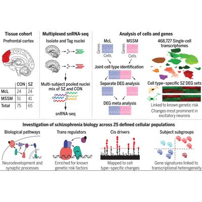 Joseph Marbach, photo 2