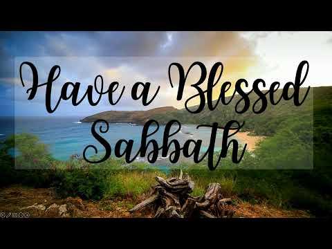 Travis Sager, photo 2