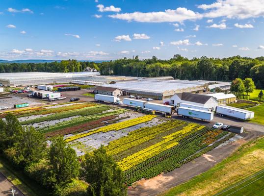 Michael Greenhouse, photo 2