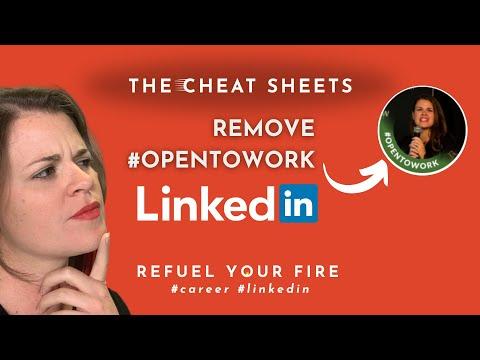 Lisa Macdonald, photo 1