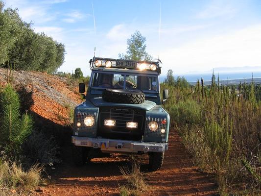 Michelle Bainbridge, photo 1