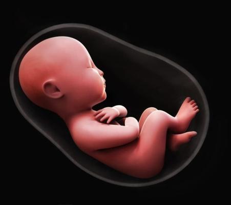 Janine Steele, photo 2