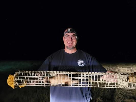 Jonathan Ludwig, photo 2