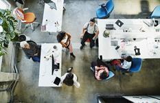 Greg Mondshein, photo 1