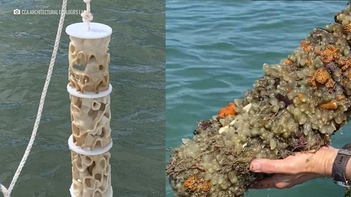 Alex Schofield, photo 1