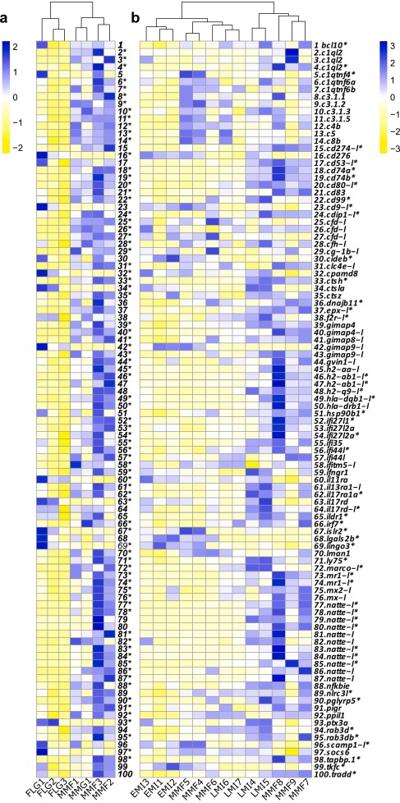 • Marco Pieterse, photo 1