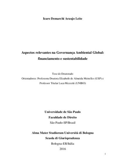 Icaro Demarchi Araujo Leite, photo 1