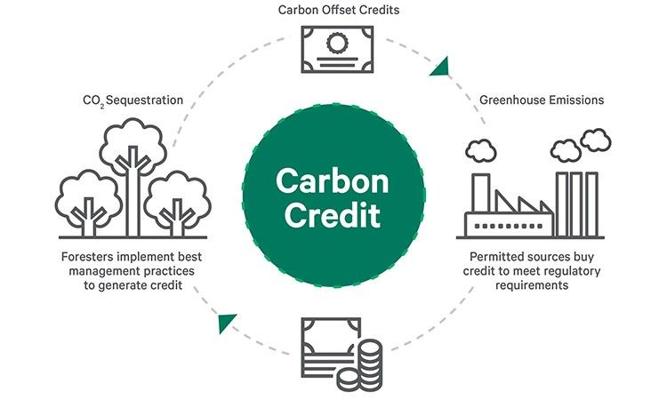 Michael Azody, photo 1