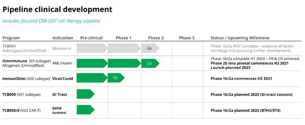 Sana Muttalib, photo 2