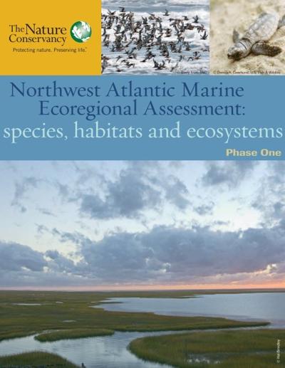 Sherman Teo, photo 2