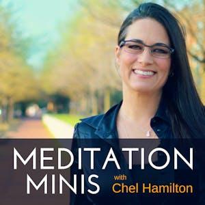 Chel Hamilton, photo 1