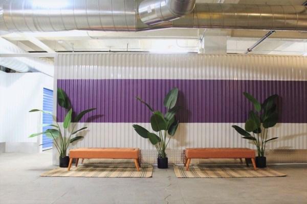 Stephen Jakisa, photo 2