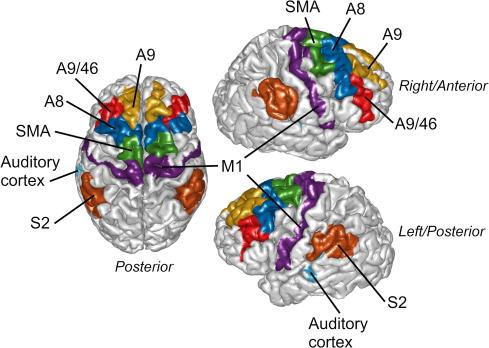 Killian Piraro, photo 1