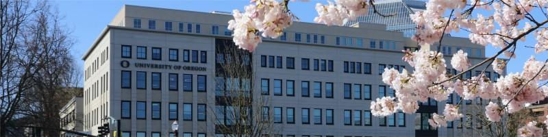 Amanda Fontenot, photo 2