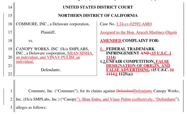 Vinay Pulim, photo 1