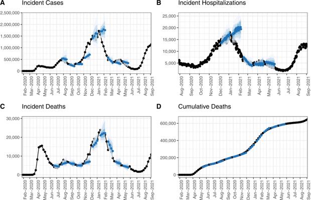 Robert Miller, photo 2