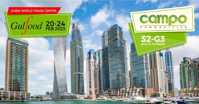 Yore van Straelen, photo 2