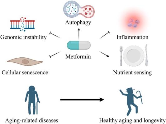 Paul Schietinger, photo 2