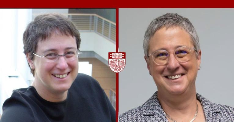 Avi Stopper, photo 2