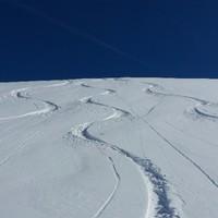 Francois Breney, photo 2