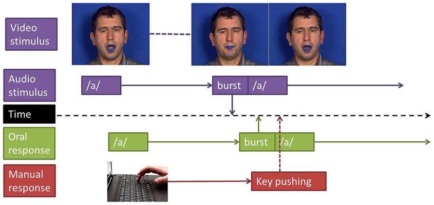 Denis Possing, photo 1