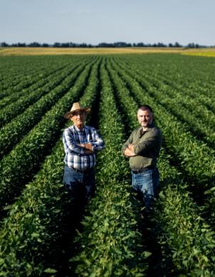 Agroiza Junqueira, photo 1