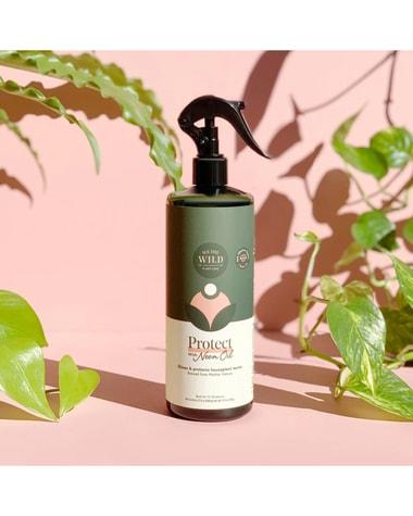 Coen Floren, photo 1