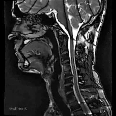 Shokry Lawandy, photo 2