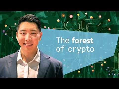 Patrick Tung, photo 2