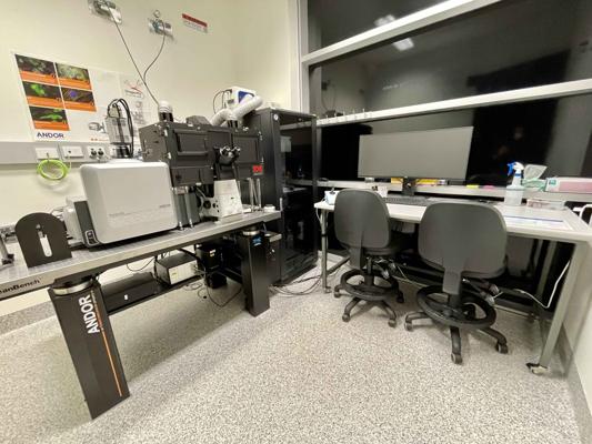 James Springfield, photo 2