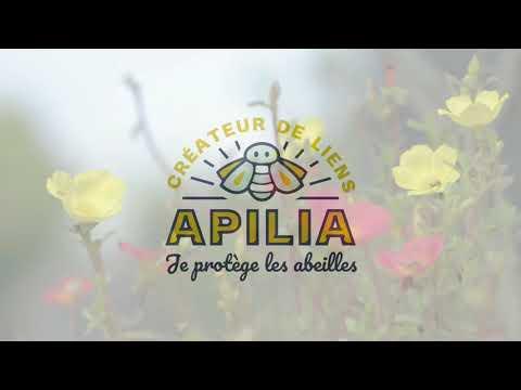 David Ruche, photo 2