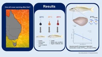 Julien Pascual, photo 2