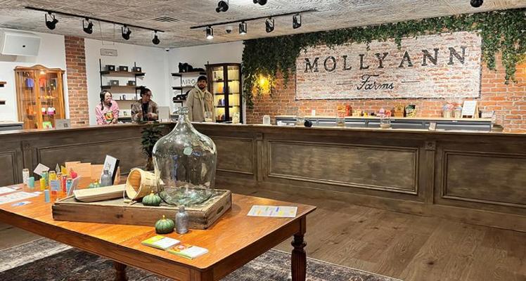 Martin Wesley, photo 1