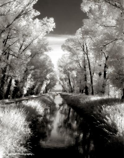 William Self, photo 1