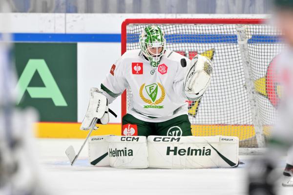 David Rautio, photo 2