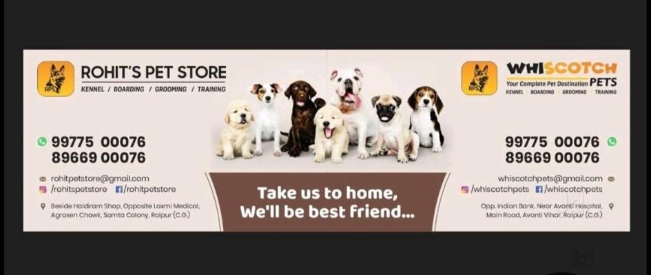 Ayush Kumar, photo 1