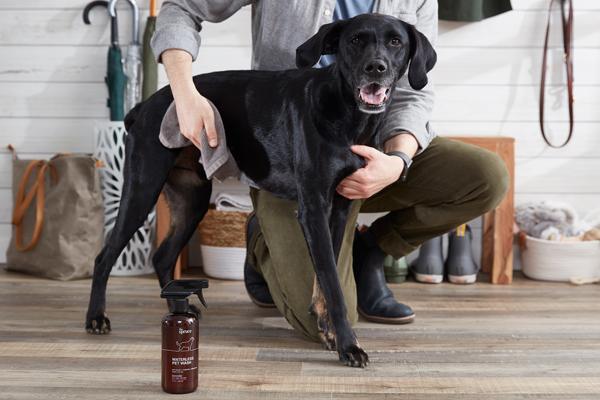 Margot Cavin, photo 2