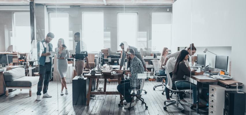 David Abramovich, photo 1