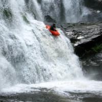 David Bachor, photo 2