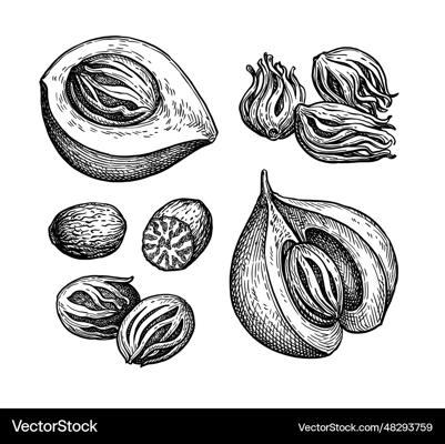 Christabel Lines, photo 1