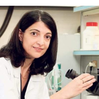 Rotem Shemesh, photo 2