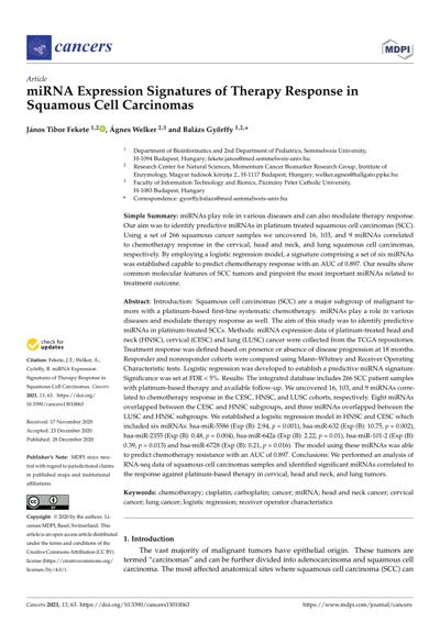 Scott Arfin, photo 1